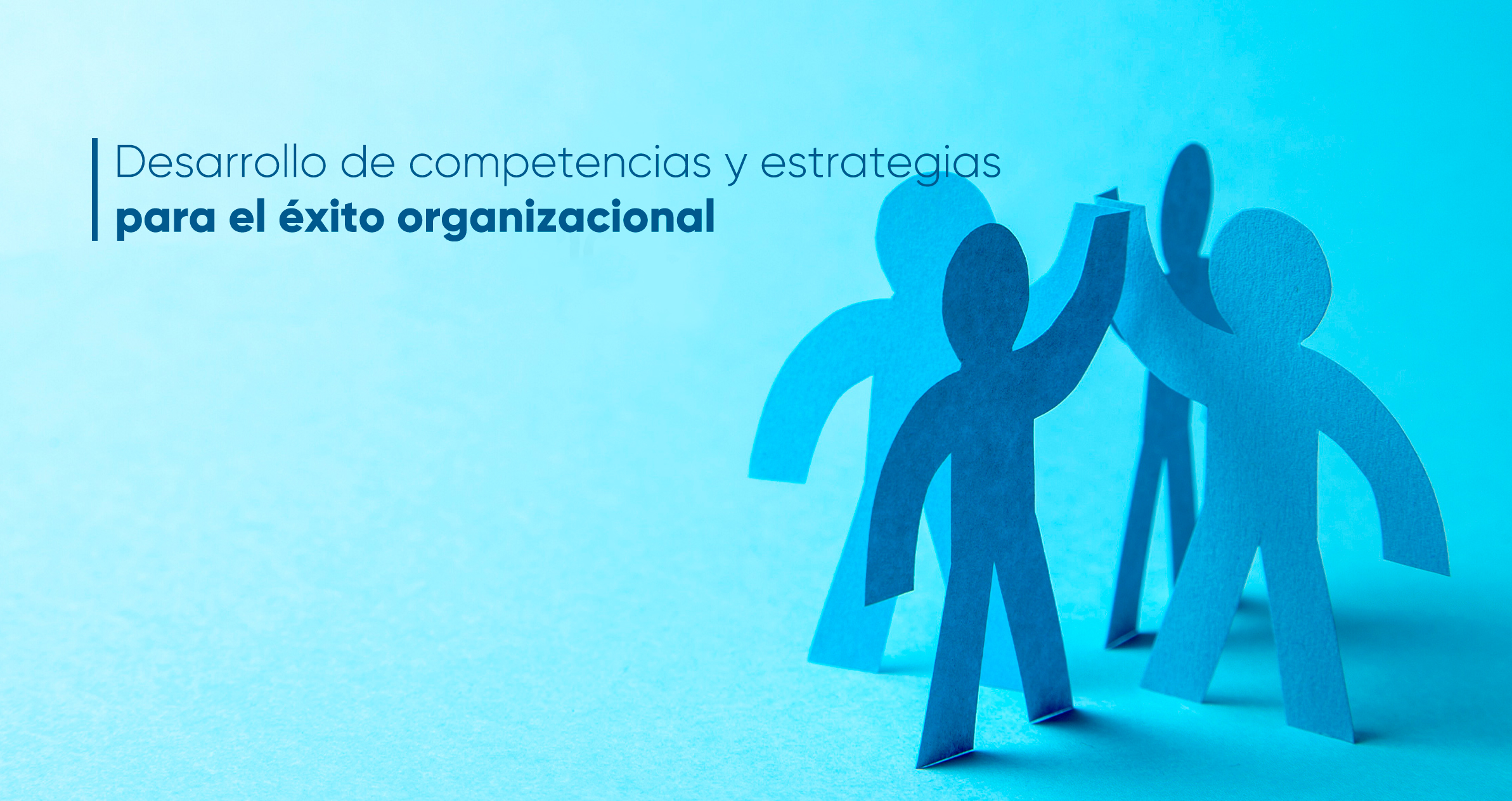 Organizacional